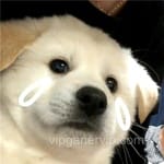 Avatar de Alma Rivas